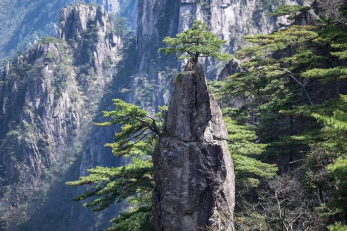 Huangshan: Mountain Top Day Trip With Cable Car and Pickup - Refund and Payment Options