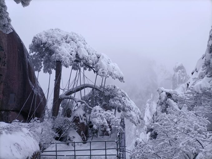 Huangshan: Mountain Top Day Trip With Cable Car and Pickup - Frequently Asked Questions