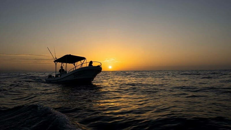 Huatulco: Awakening with Stars Dolphins Boat Cruise - Who Should Consider This Tour?