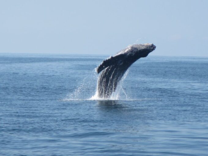 Huatulco Bay: Bahías Boat Tour & Snorkeling Experience - Frequently Asked Questions