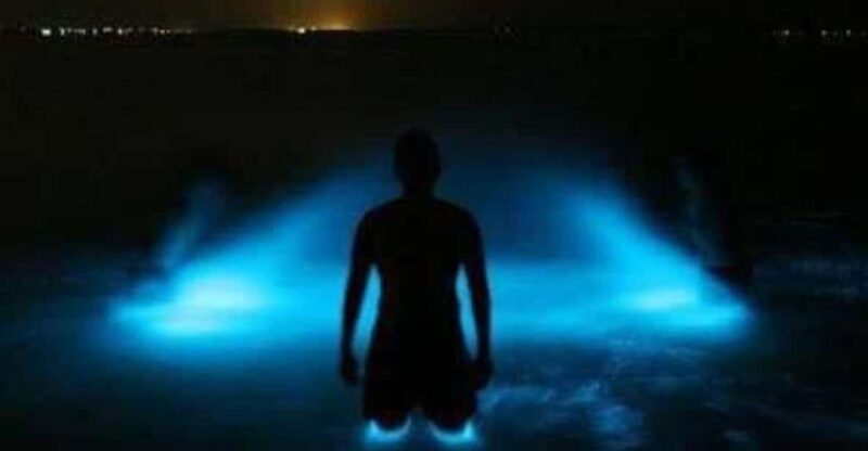 Huatulco: Bio and Liberation Tour - Key Points