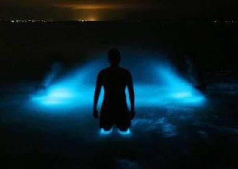 Huatulco: Bio and Liberation Tour - Itinerary