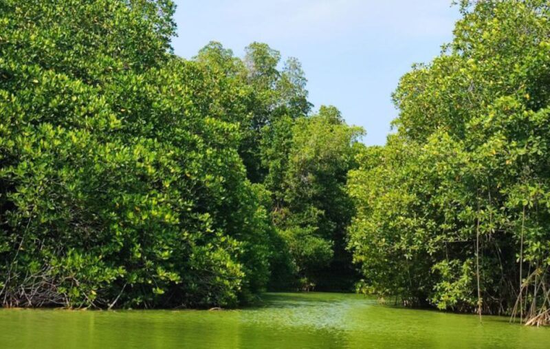 Huatulco: Chacahua Lagoon Exploration - Pricing Details