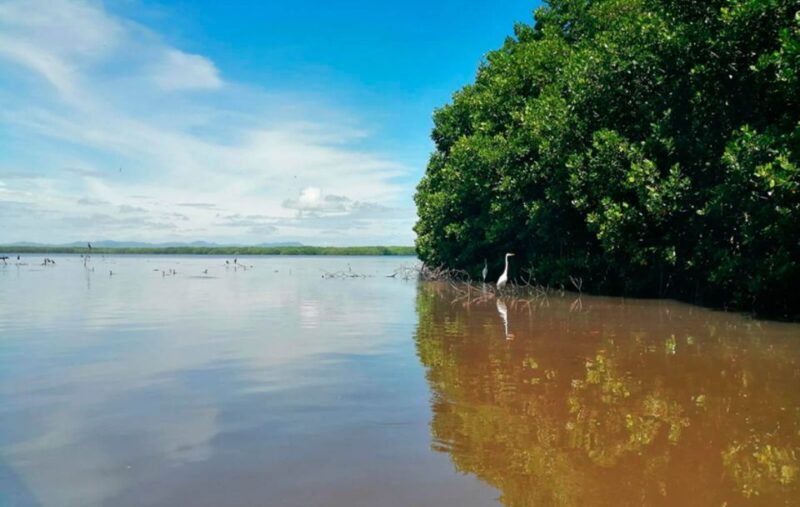 Huatulco: Chacahua Lagoon Exploration - Frequently Asked Questions