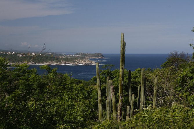 Huatulco City Tour HT - Pickup Information