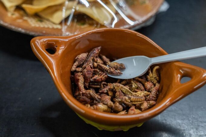 Huatulco City Tour - Discover La Crucecita Town Square