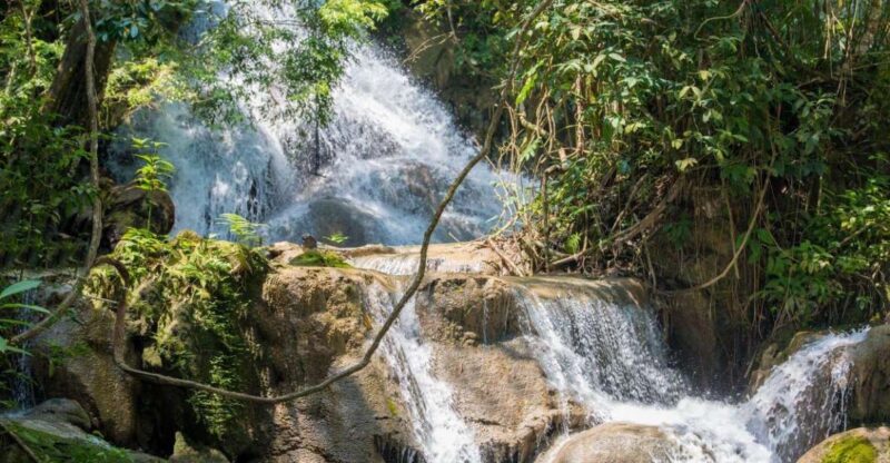 Huatulco: Coffee Flavor Waterfall Tour With Local Lunch - Activities and Experiences