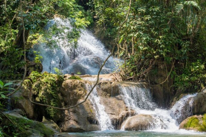 Huatulco: Coffee Flavor Waterfall Tour With Local Lunch - Lunch at Finca La Gloria