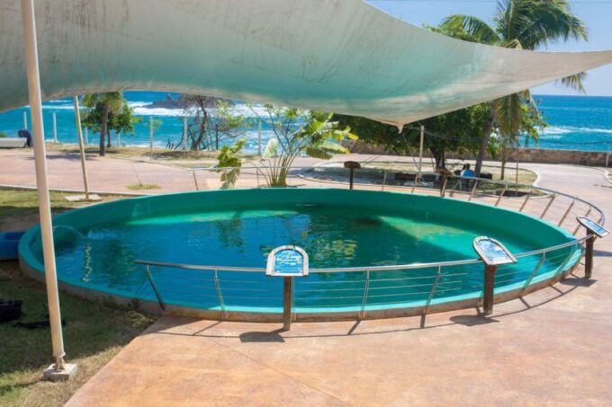 Huatulco: Crocodile & Turtle Ecotour - Getting to the Tour