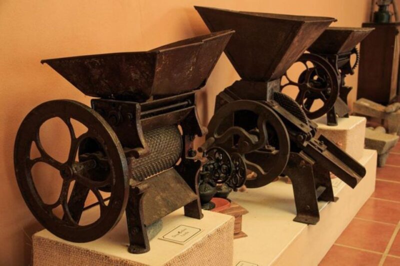 Huatulco: Local Coffee Tasting and Cultural Experience - Key Points