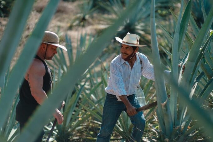 Huatulco: Mezcal and Gastronomic Tour - Scenic Lookout Tasting