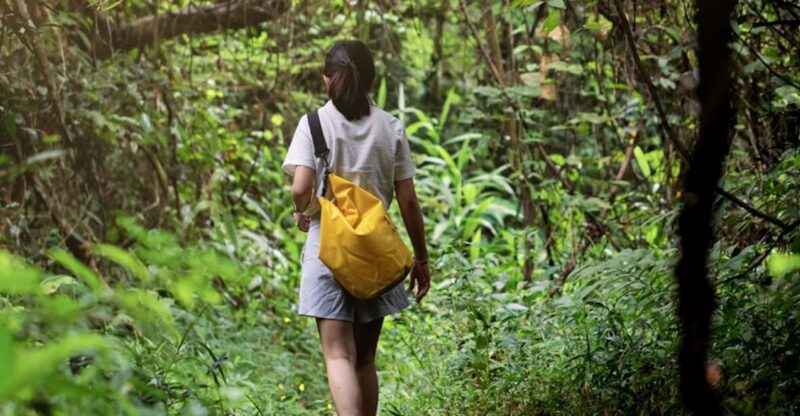 Huatulco National Park: Hiking and Snorkeling Tour - Hike Through the Jungle