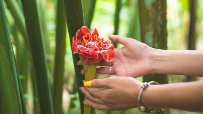 Huatulco: Nature Park With Fruit Tasting & Optional Zipline - Park Rules
