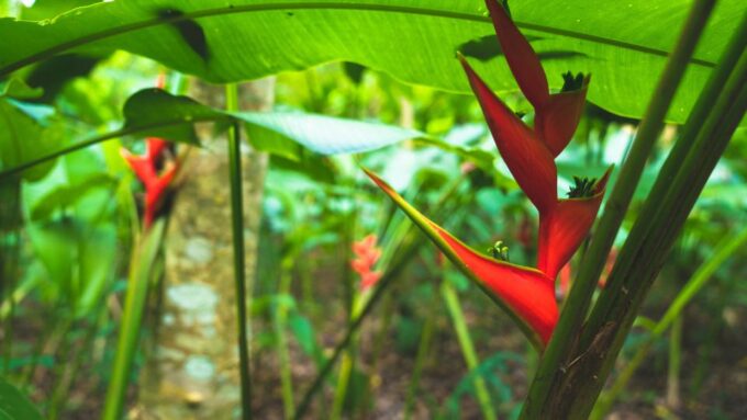 Huatulco: Nature Park With Fruit Tasting & Optional Zipline - Guest Reviews