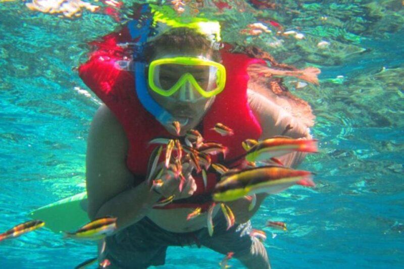 Huatulco: Premium Family Snorkeling Experience - Pricing and Availability