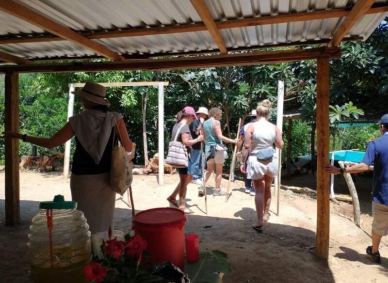Huatulco: Private Coffee and Fruit Ranch Experience - Itinerary Details