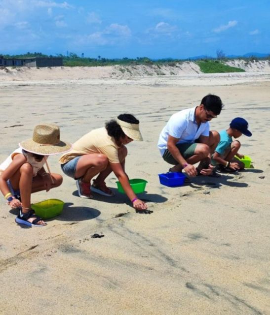 Huatulco: Private Turtle Release Experience - Inclusions