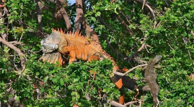 Huatulco: Puerto Angel, Zipolite, and Mazunte Day Trip - Frequently Asked Questions