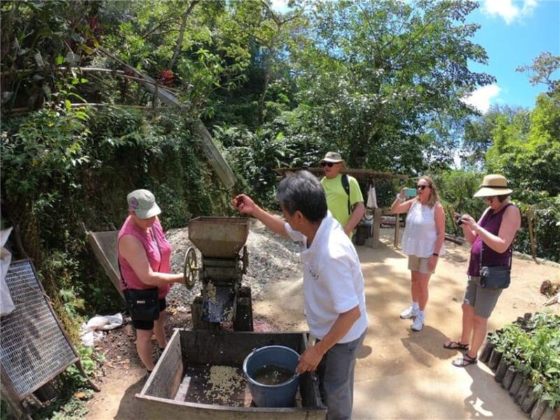 Huatulco: Santa Maria and Pluma Hidalgo Coffee Tour - Tour Experience