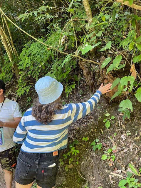 Huatulco: Waterfalls Tour With Buffet Lunch - Highlights of the Experience