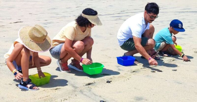 Huatulco:Turtle Release,Horseback Riding and Bioluminescence - Highlights of the Adventure