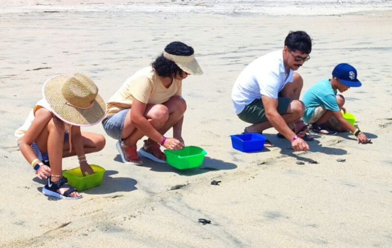 Huatulco:Turtle Release,Horseback Riding and Bioluminescence - Turtle Conservation Efforts