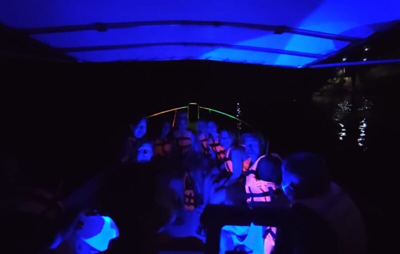 Huatulco:Turtle Release,Horseback Riding and Bioluminescence - Manialtepec Lagoon Bioluminescence
