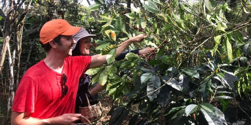 Huayopata Coffee or Cocoa 2-Day Private Tour - Itinerary Day 1
