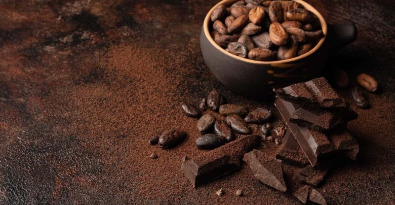Huayopata | Private Chocolate Tour - Key Points