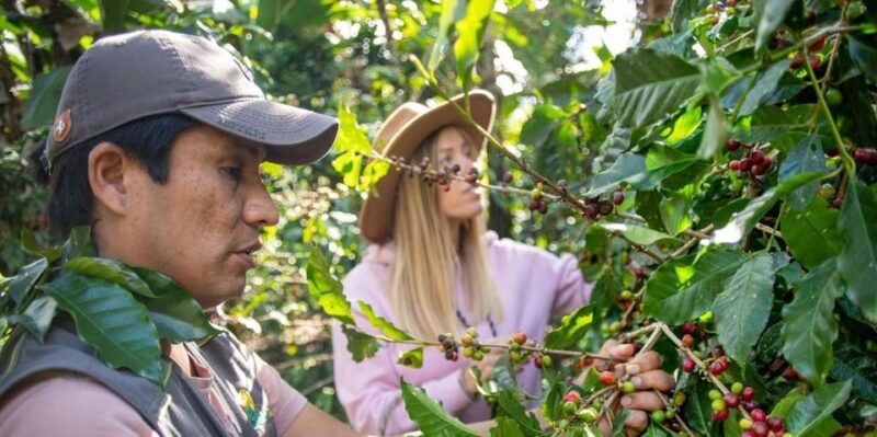 Huayopata Private Coffee Tour - Itinerary
