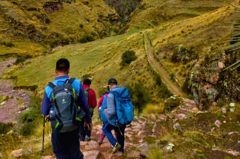 Huchuy Qosqo Trek to Machu Picchu - Wildlife Spotting