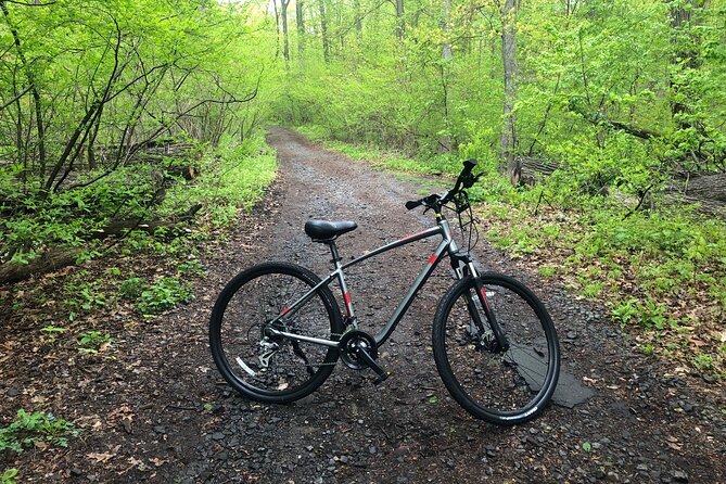 Hudson River Bike Rental - Reliability and Service Concerns