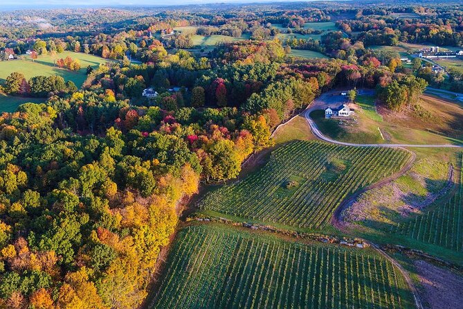 Hudson Valley VIP Vineyard Tour From NYC via Private Helicopter - Winemaking and Vineyard Tour