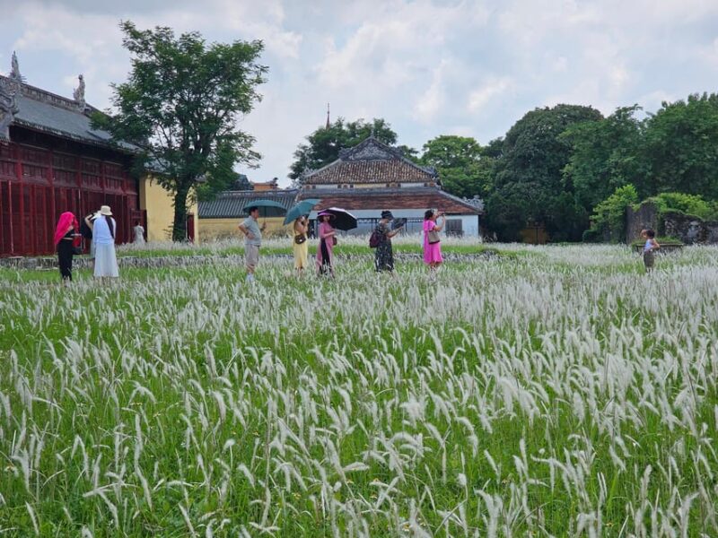 Hue City Tour Half Day: Imperial City and Tu Duc Tomb by Car - Booking Information