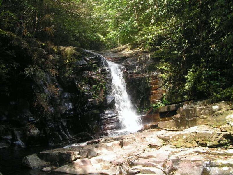 Hue: Full-day Bach Ma National Park Trek And Beach Retreat - Key Points