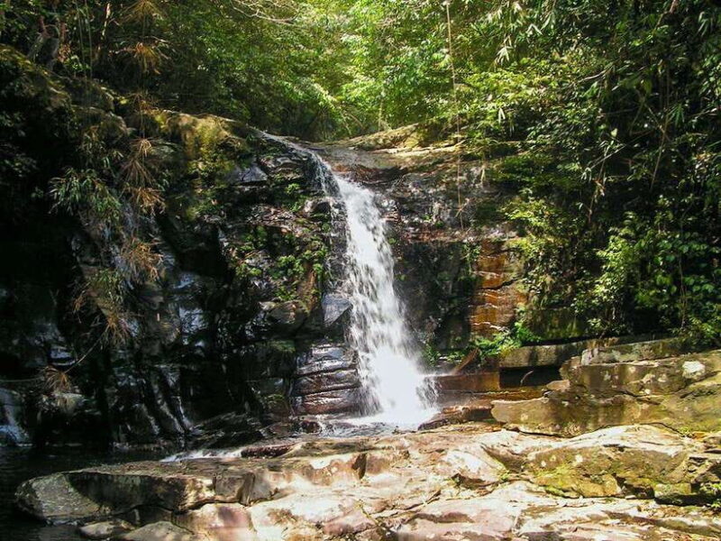 Hue: Full-day Bach Ma National Park Trek And Beach Retreat - Exploring the Scenic Do Quyen Waterfall