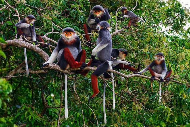 Hue to Hoi an or Hoi an to Hue by Car via Hai Van Pass, Monkey Mountain, Beaches - Marble Mountain and Lady Buddha