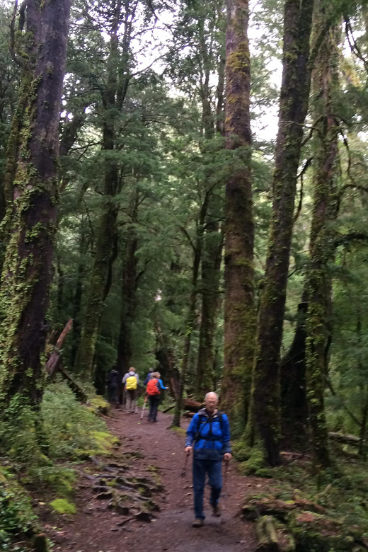 Huerquehue National Park Full Day - Group Size and Languages