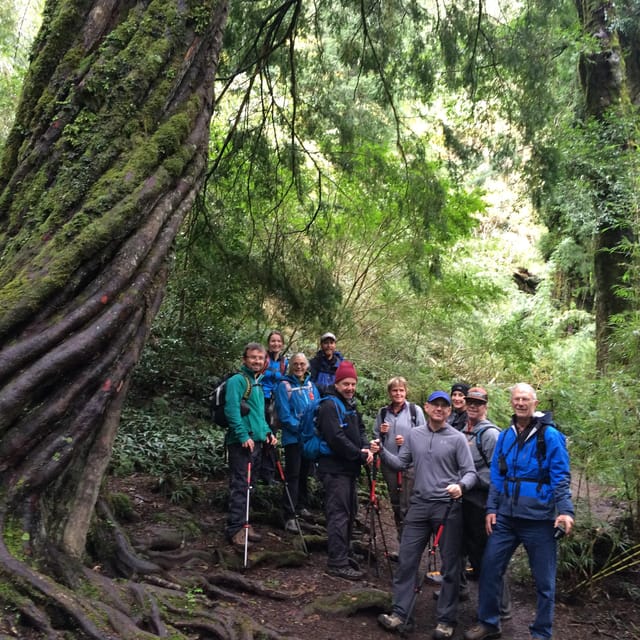 Huerquehue National Park Full Day - Highlights of the Park