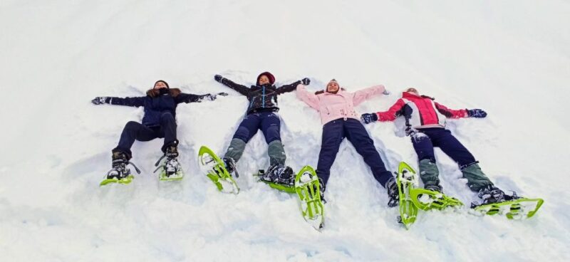 Huesca: Ordesa National Park Guided Snowshoeing Tour - Tour Duration and Small Group Size