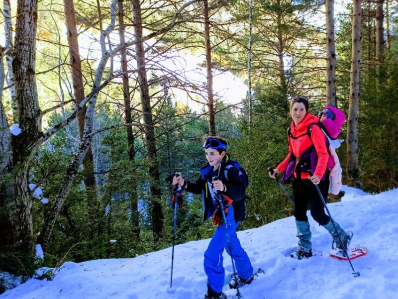 Huesca: Ordesa National Park Guided Snowshoeing Tour - Suitable for All Skill Levels