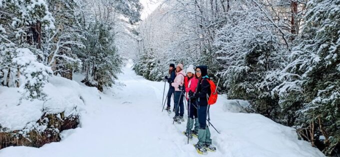 Huesca: Ordesa National Park Guided Snowshoeing Tour - Important Considerations for Participants