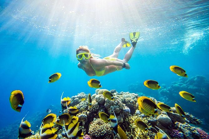 Hula Hula Island Sea Trip With Lunch and Water Sports HURGHADA - Destination: Hula Hula Island