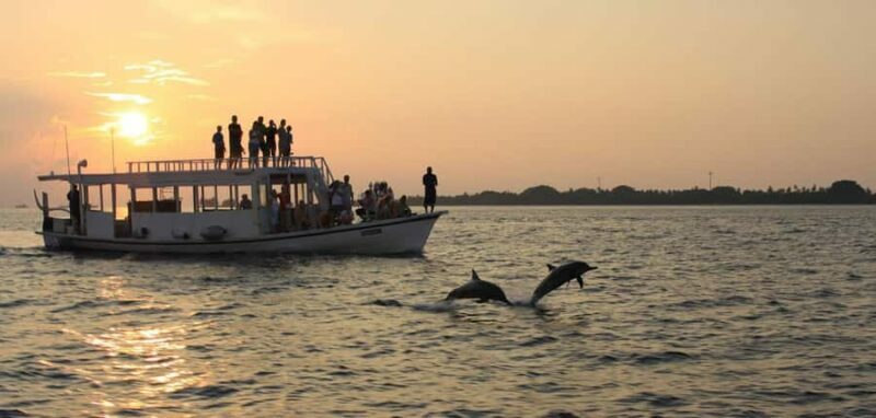 Hulhumale: Sunset Cruise with Snorkeling and Dolphins - Dolphin Watching: Playful Encounters
