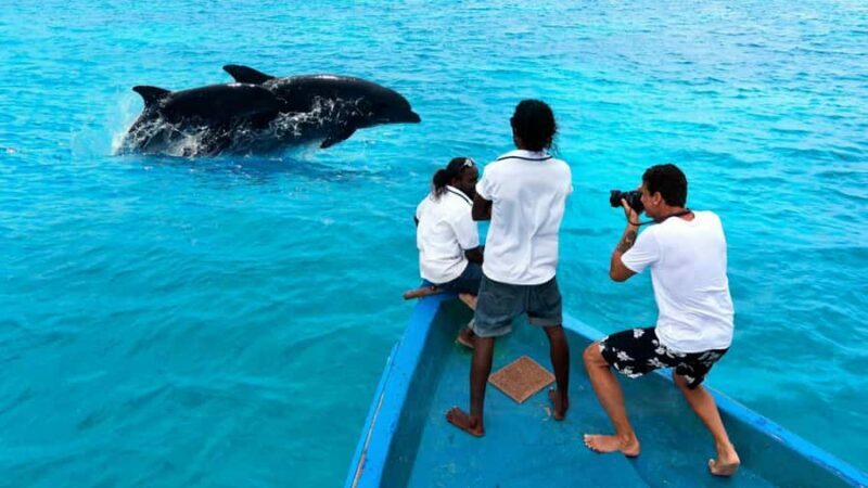 Hulhumale: Sunset Cruise with Snorkeling and Dolphins - Return and Practical Details