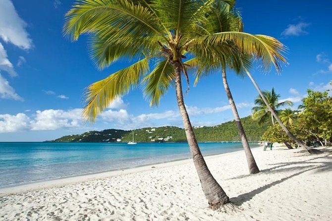Hull Bay Farm & Beach Experience With Lunch - About Your Stay