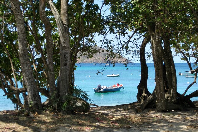 Hull Bay Farm & Beach Experience With Lunch - Taking in West Indian Culture