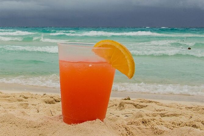 Hull Bay Farm & Beach Experience With Lunch - Relaxing at the Beach