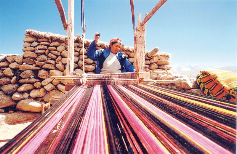 Humahuaca Valley Multicultural Tour From Salta - Tour Features