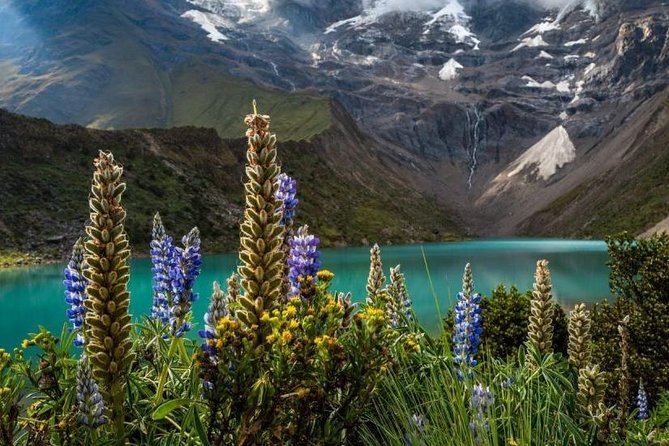Humantay Lagoon Full Day Tour - Scheduling and Duration